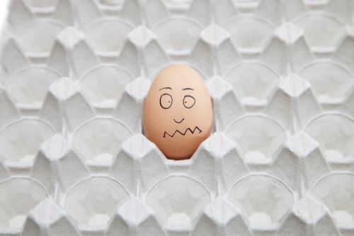 egg in egg carton not for soundproofing